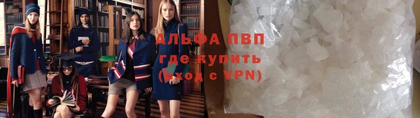 шишки Алзамай