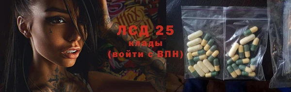 гидра Алексеевка