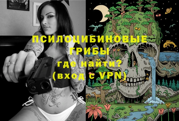 метамфетамин Алексин