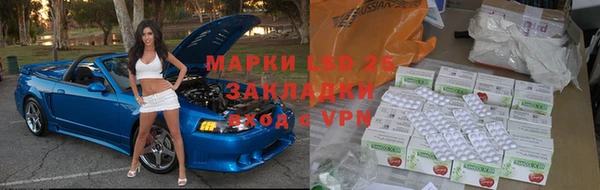 шишки Алзамай