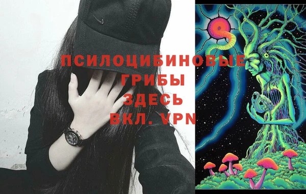 шишки Алзамай